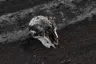 Furyofthesands's Avatar